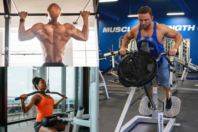 Back Workout