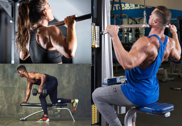 Back Workout
