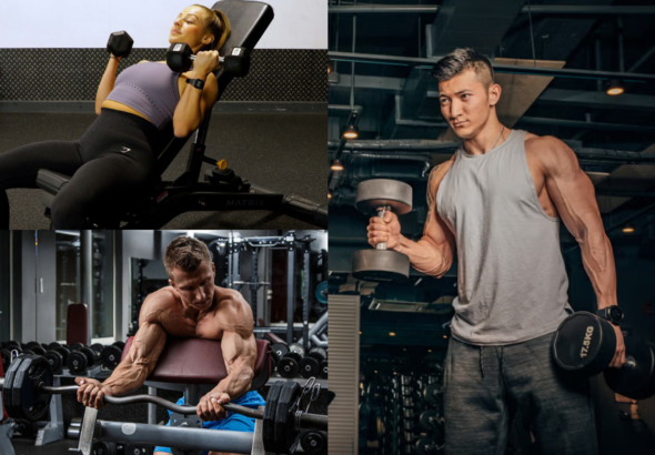 Bicep Workout