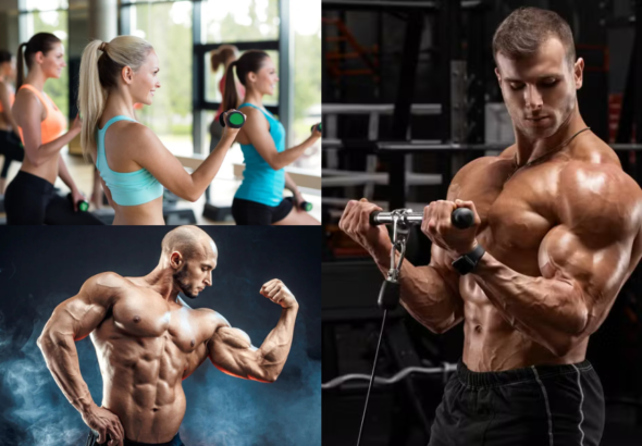 Bicep Workout