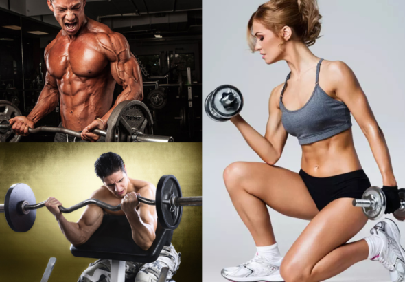 Bicep Workout