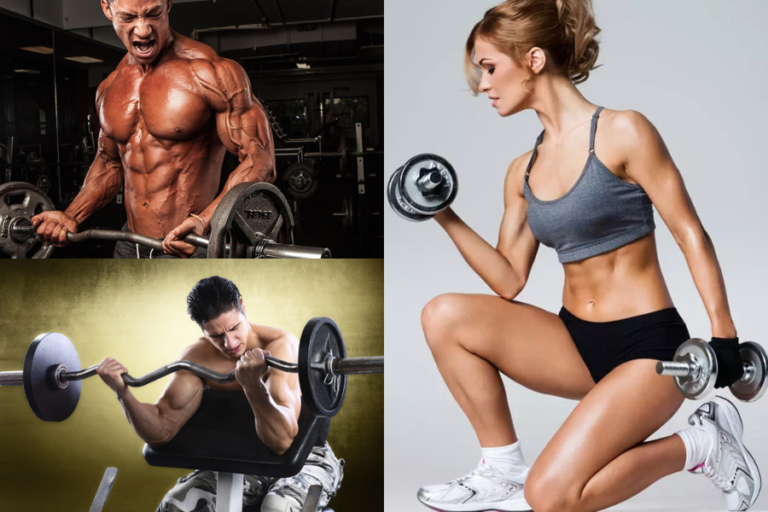 Bicep Workout