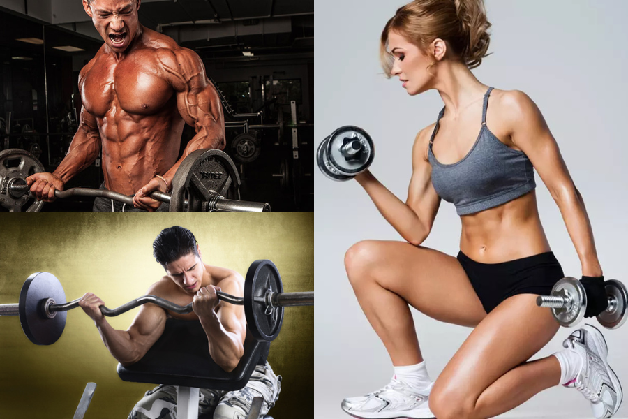 Bicep Workout