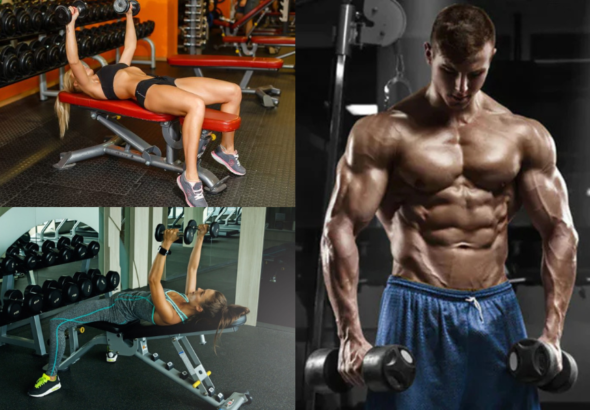 Chest Workout