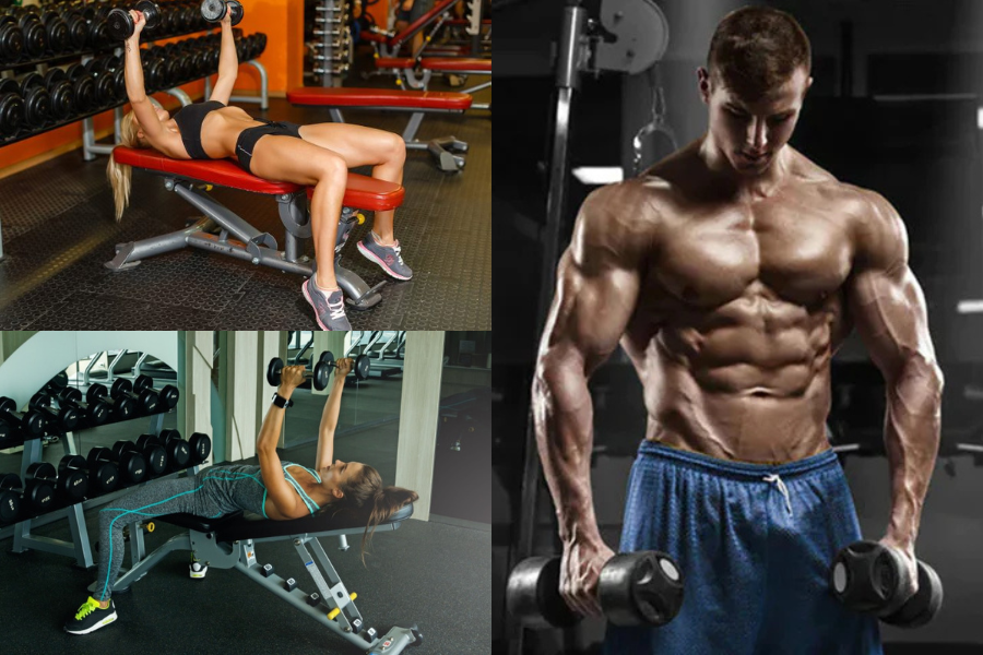 Chest Workout