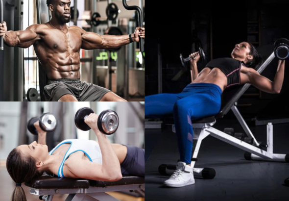 Chest Workout