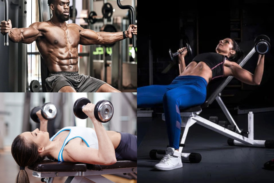 Chest Workout