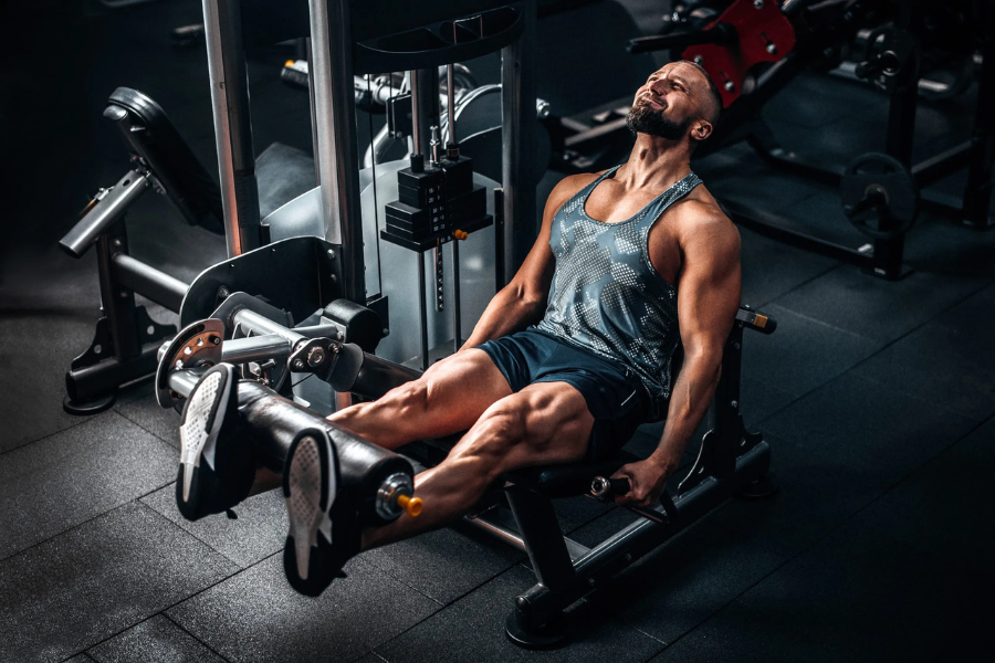 Quad Workout
