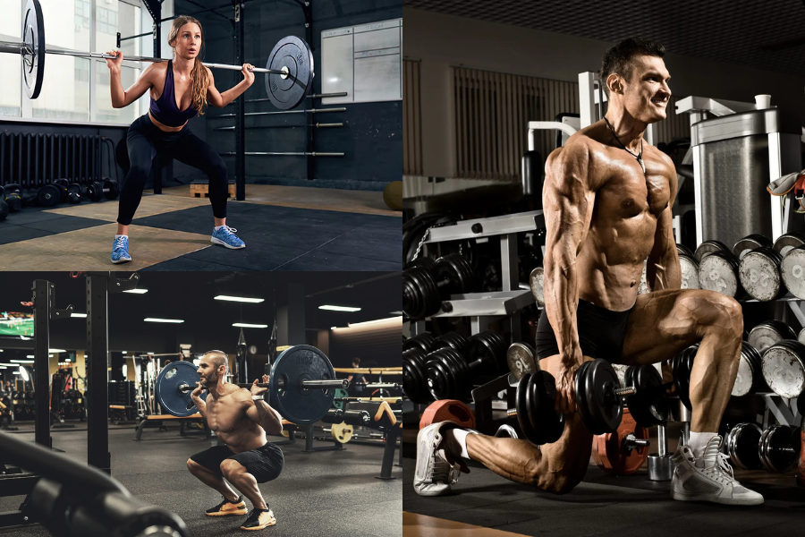 Quad Workout