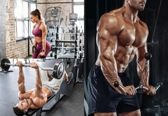 Tricep Workout