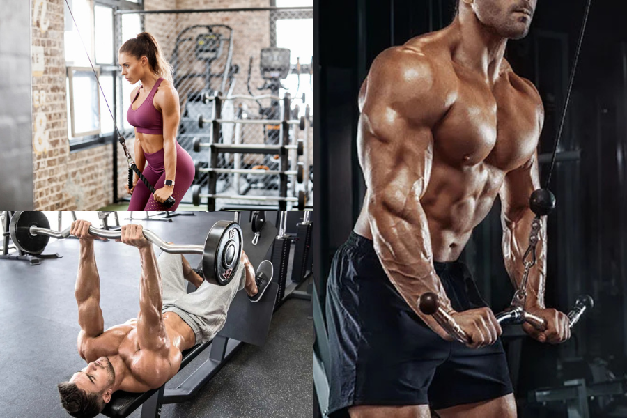 Tricep Workout