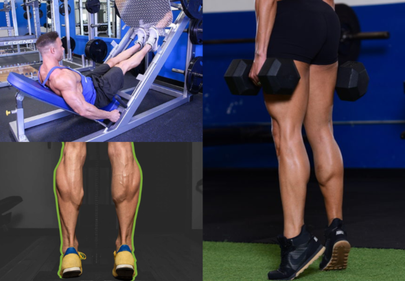 Calf Exercises