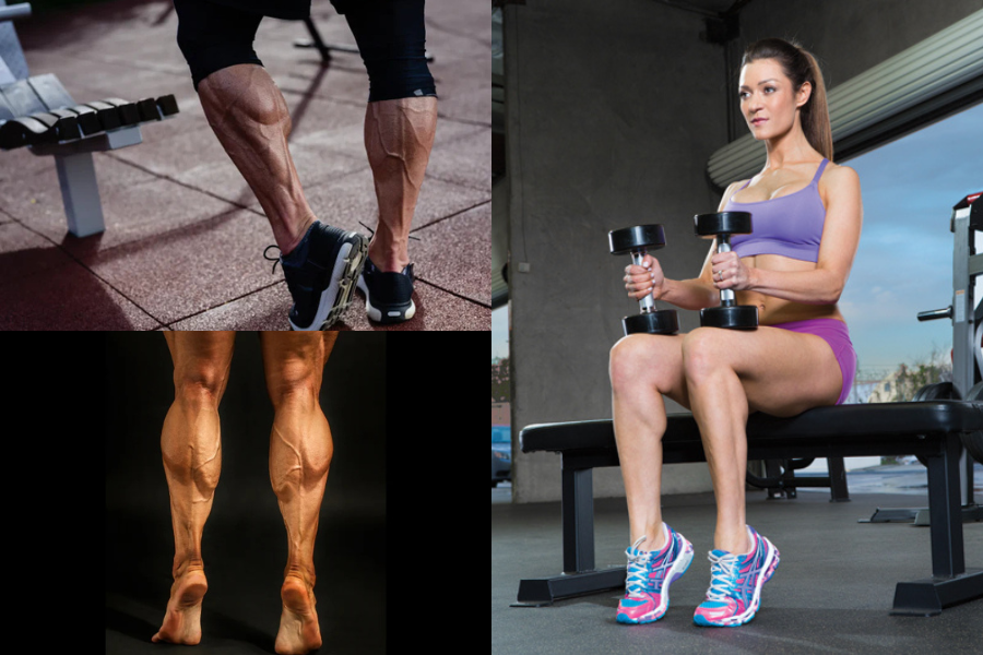 Calf Exercises
