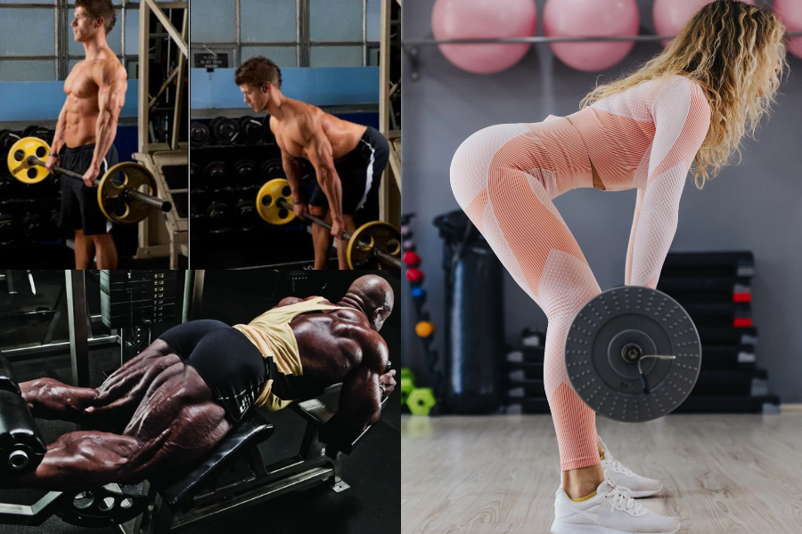 Hamstring Workout