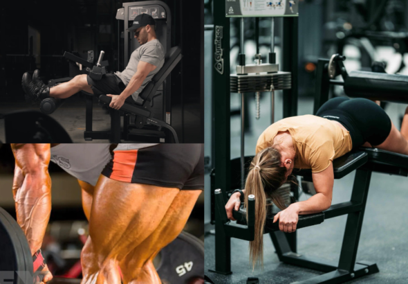 Hamstring Workout