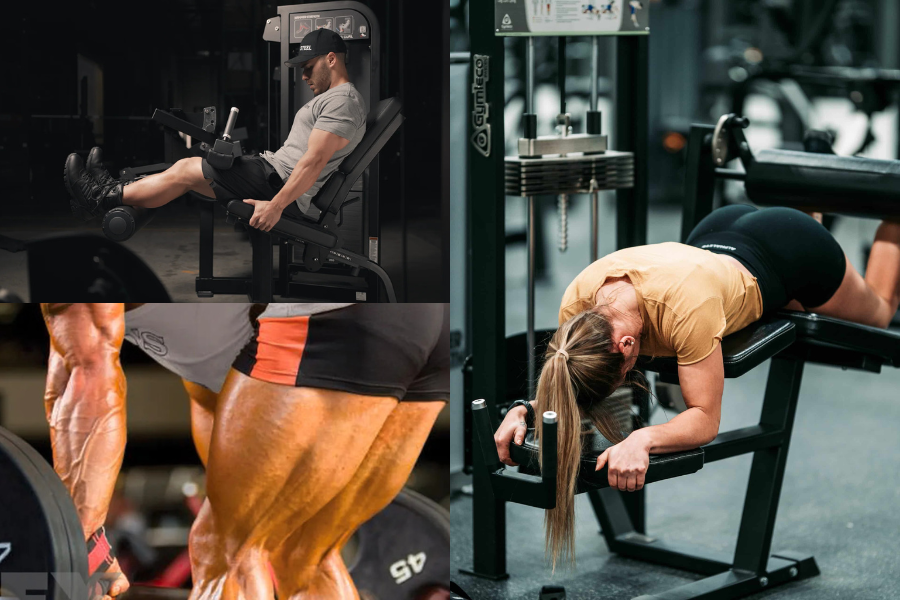 Hamstring Workout