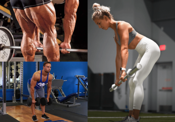 Hamstring Workout