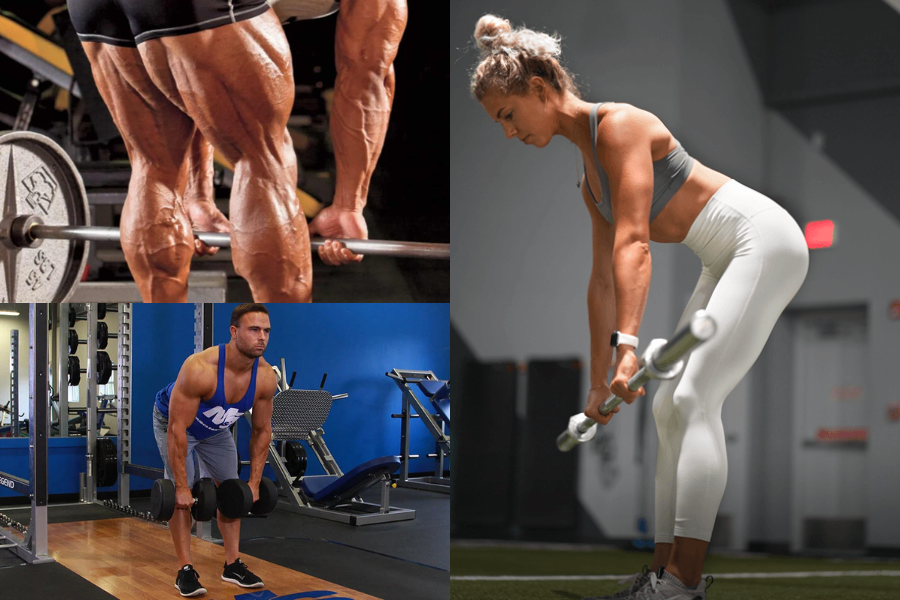 Hamstring Workout
